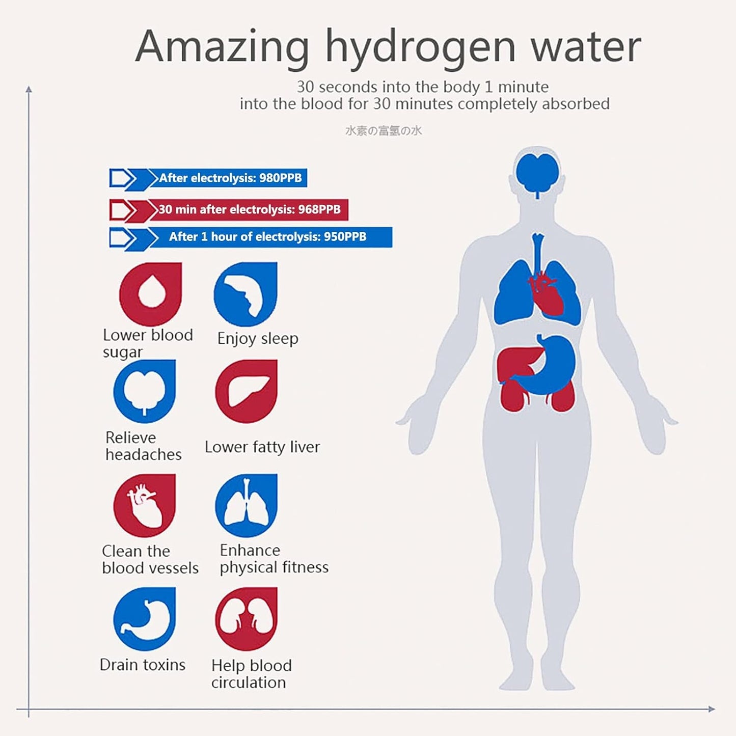 Hydrogen Generator Water Bottle 420ml