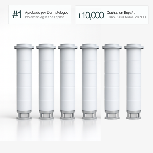 Pack de 6 Filtros de Repuesto